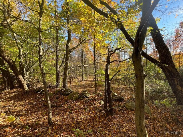 LOT45 Mcdonald Rd, Colchester, NY 13782 - photo 3