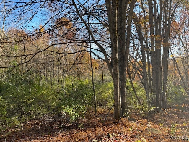 LOT45 Mcdonald Rd, Colchester, NY 13782 - photo 4