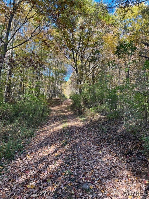 LOT45 Mcdonald Rd, Colchester, NY 13782 - photo 5