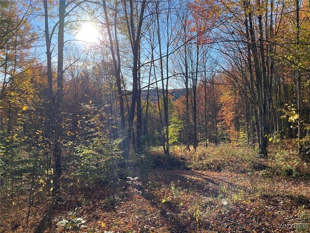 LOT45 Mcdonald Rd, Colchester, NY 13782 - photo 6