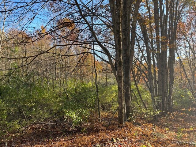 LOT45 Mcdonald Rd, Colchester, NY 13782 - photo 7
