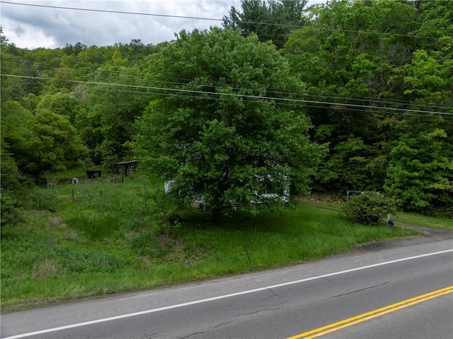 7485 State Route 417, Tuscarora, NY 14801 - photo 4