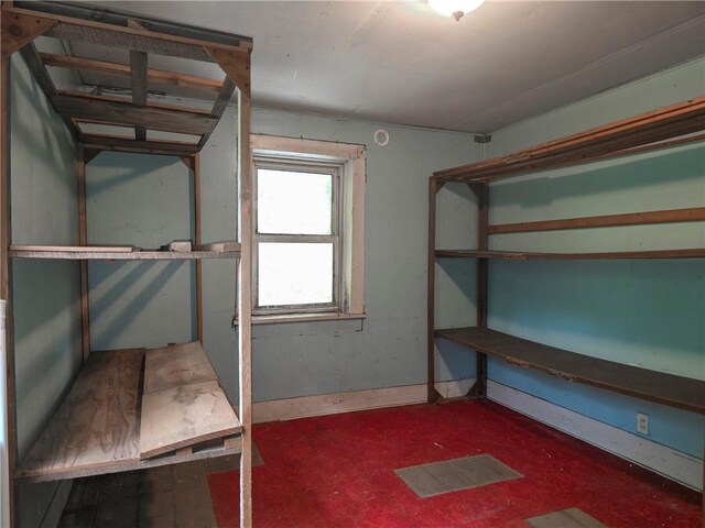 7485 State Route 417, Tuscarora, NY 14801 - photo 32
