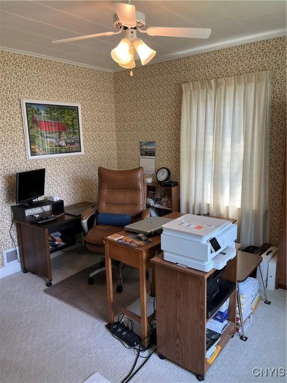 7 Roberts St, Adams, NY 13605 - office space with carpet flooring, wallpapered walls, and a ceiling fan