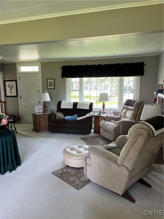 7 Roberts St, Adams, NY 13605 - living area with carpet flooring, healthy amount of natural light, and crown molding