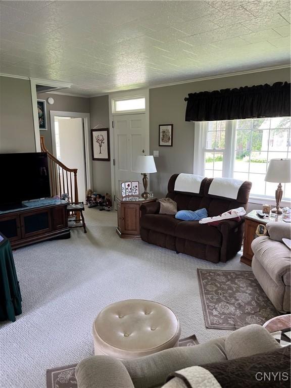 7 Roberts St, Adams, NY 13605 - living room with carpet flooring and ornamental molding