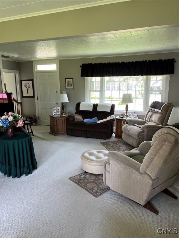 7 Roberts St, Adams, NY 13605 - living room featuring carpet flooring