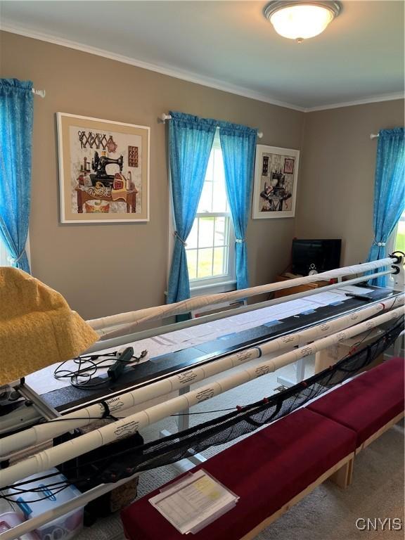 7 Roberts St, Adams, NY 13605 - bedroom with carpet and ornamental molding