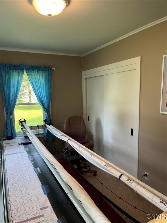 7 Roberts St, Adams, NY 13605 - bedroom with ornamental molding and a closet