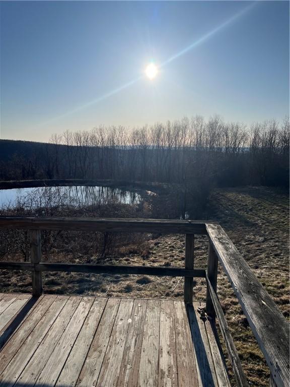 3709 Dean Rd, Hector, NY 14869 - dock area with a deck