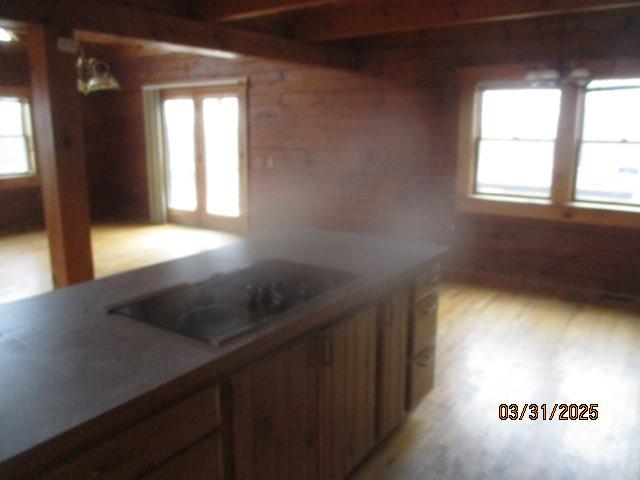 3709 Dean Rd, Hector, NY 14869 - kitchen with light wood-style floors and black electric stovetop