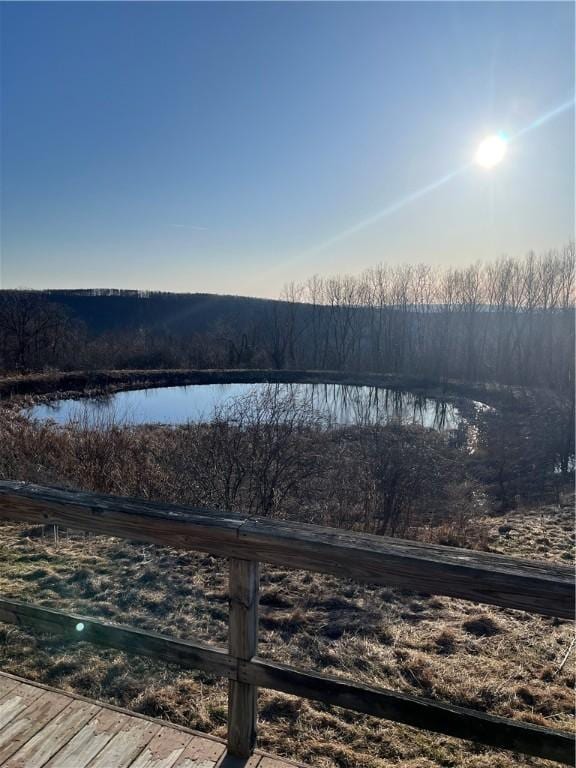 3709 Dean Rd, Hector, NY 14869 - water view