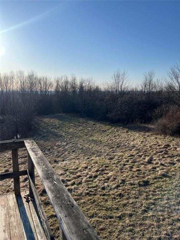 3709 Dean Rd, Hector, NY 14869 - view of yard