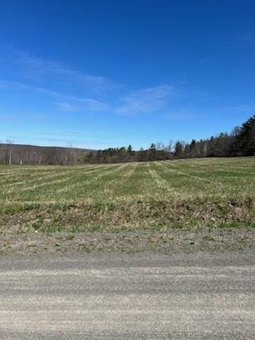 3709 Dean Rd, Hector, NY 14869 - view of yard with a view of countryside