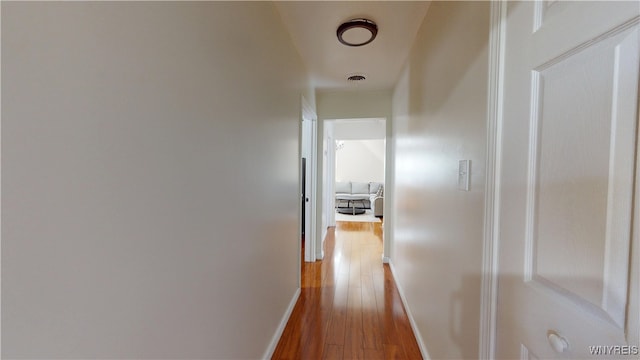 239 Keystone St, Buffalo, NY 14211 - hall featuring hardwood / wood-style floors and baseboards