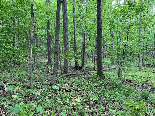 0 Yates Carlton Rd, Carlton, NY 14411