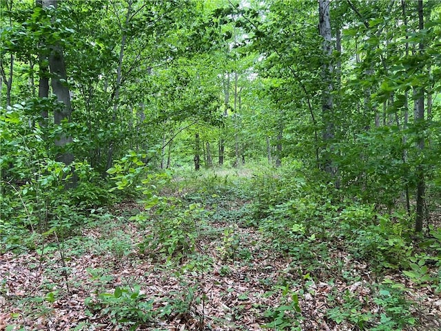 0 Yates Carlton Rd, Carlton, NY 14411