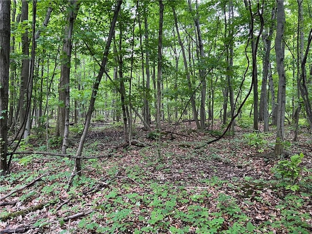 0 Yates Carlton Rd, Carlton, NY 14411