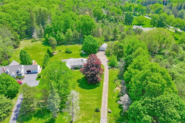 492 Drumm Rd, Webster, NY 14580 - bird's eye view of a forest