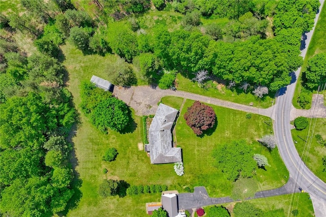 492 Drumm Rd, Webster, NY 14580 - bird's eye view