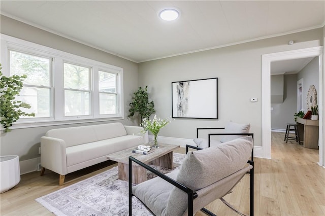 225 Wilder St, Rochester, NY 14611 - living room featuring light wood finished floors, crown molding, and baseboards