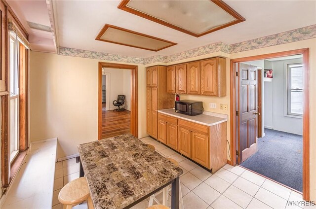 50 Woodlawn Ave, Buffalo, NY 14209 - photo 17
