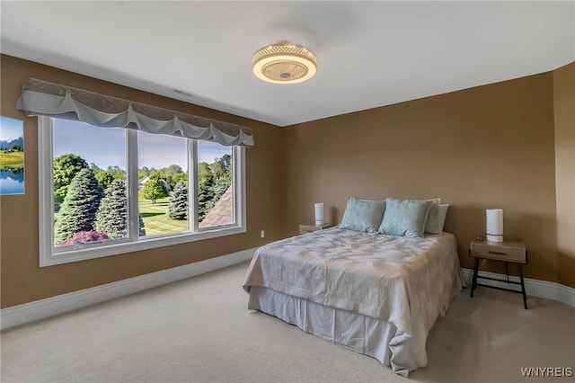 35 Pinegrove Ct, Elma, NY 14059 - carpeted bedroom featuring baseboards