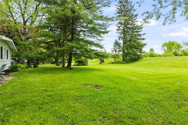 62 E Park Rd, Pittsford, NY 14534 - view of grassy yard