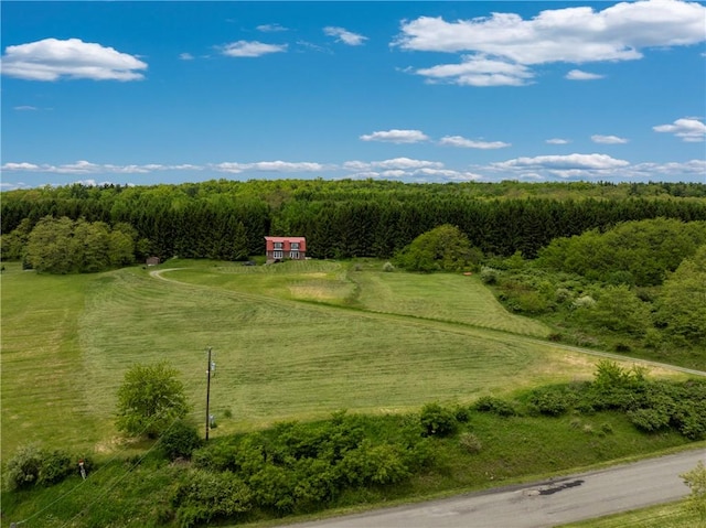 8667 Greyton H Taylor Memorial Dr, Urbana, NY 14840 - photo 1