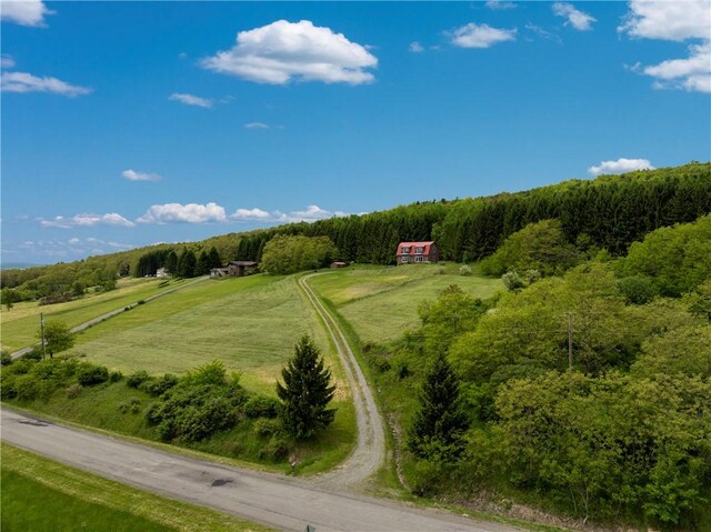 8667 Greyton H Taylor Memorial Dr, Urbana, NY 14840 - photo 5