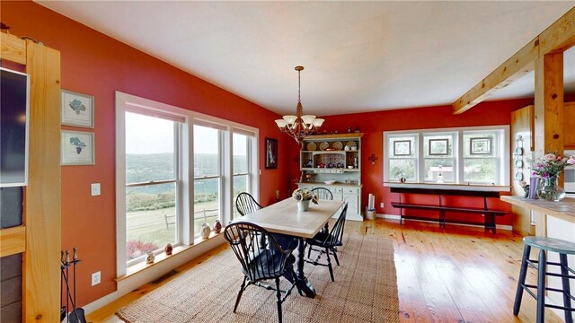 8667 Greyton H Taylor Memorial Dr, Urbana, NY 14840 - photo 9