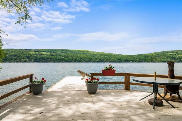 1485 S Lake Rd, Middlesex, NY 14507 - dock featuring a view of trees and a water view