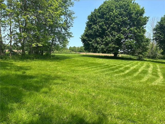 516 County Road 26, Phelps, NY 14513 - view of yard