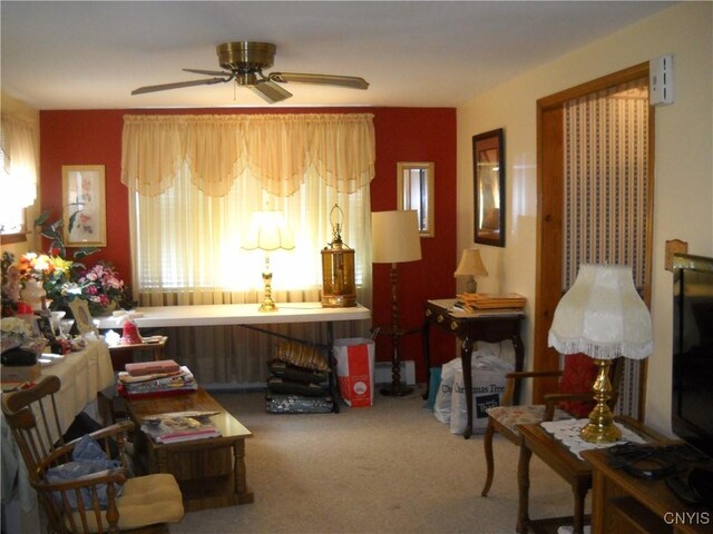 107 Craton St, Syracuse, NY 13203 - photo 4