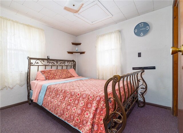 1248 County Road 19, Dix, NY 14812 - photo 41