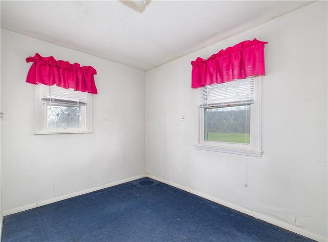 1248 County Road 19, Dix, NY 14812 - photo 42
