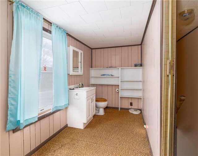 1248 County Road 19, Dix, NY 14812 - photo 23