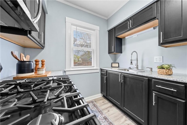 37 Ernestine St, Rochester, NY 14619 - kitchen featuring a sink, stainless steel microwave, dark cabinets, light wood-style flooring, and ornamental molding