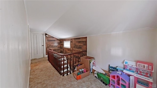 233 Elm St, German Flatts, NY 13357 - game room featuring lofted ceiling, wood walls, carpet, and ornamental molding