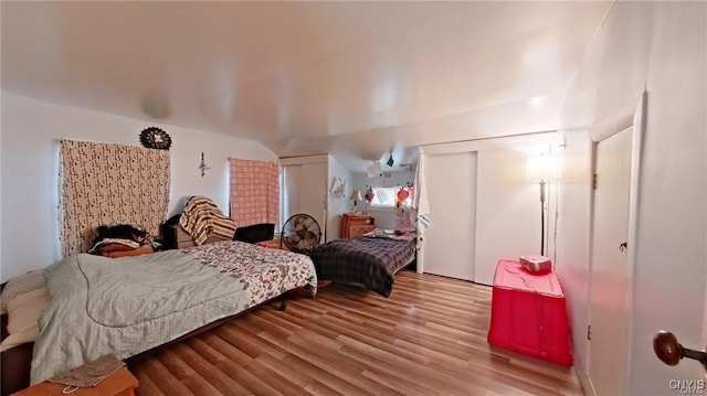 233 Elm St, German Flatts, NY 13357 - bedroom featuring wood finished floors and multiple closets
