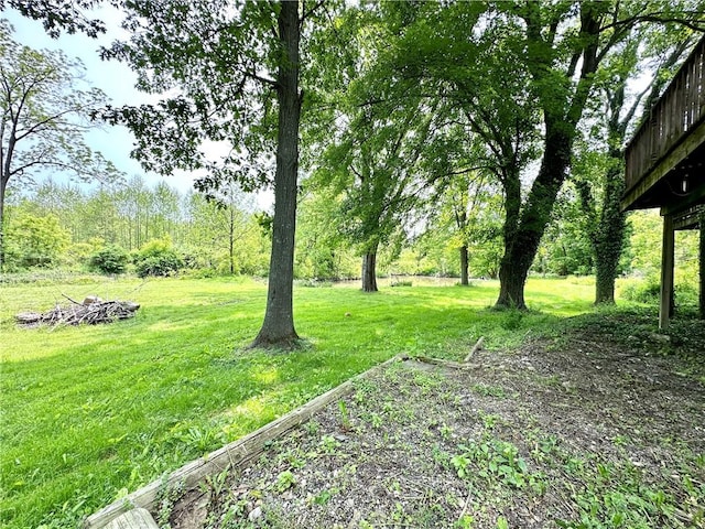 7573 State Route 21, Naples, NY 14512 - view of green lawn