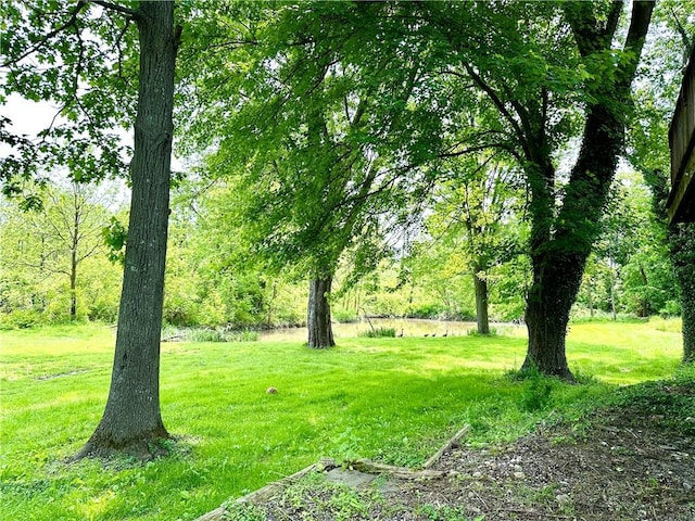 7573 State Route 21, Naples, NY 14512 - view of green lawn