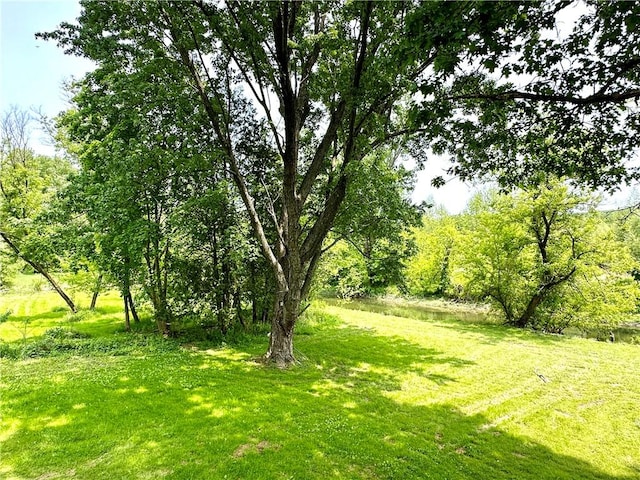 7573 State Route 21, Naples, NY 14512 - view of green lawn