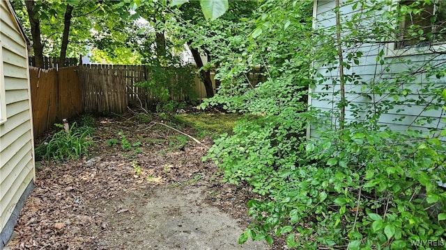 198 Mulberry St, Buffalo, NY 14204 - view of yard