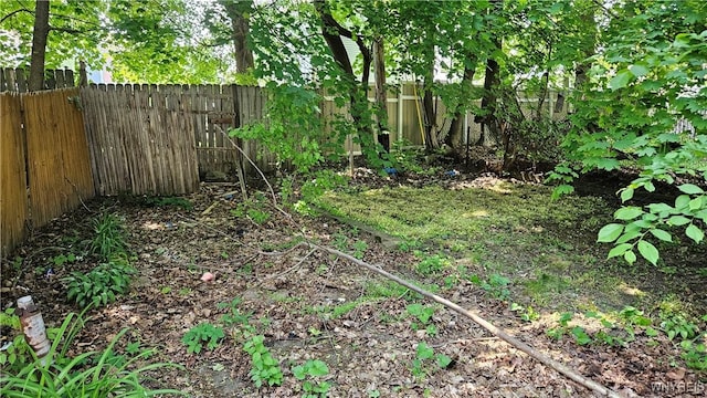 198 Mulberry St, Buffalo, NY 14204 - view of fenced backyard