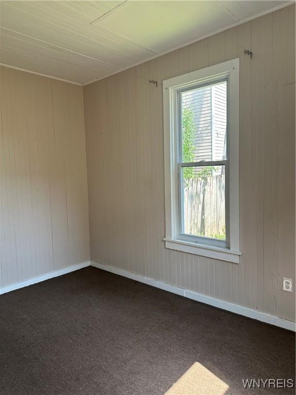 325 Rhode Island St, Buffalo, NY 14213 - carpeted spare room with wooden walls