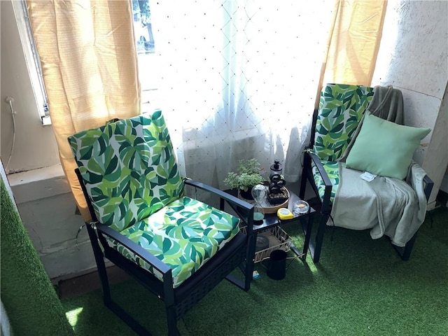 571 Lake Ave, Rochester, NY 14613 - sitting room with plenty of natural light