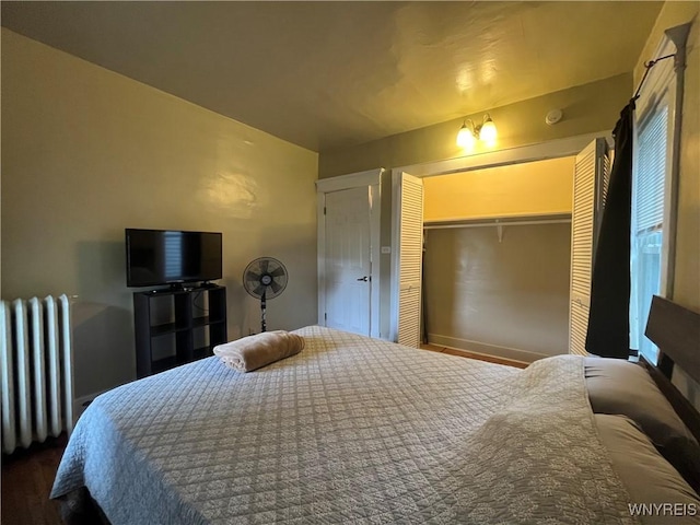 11 Cleveburn Pl Unit 1, Buffalo, NY 14222 - bedroom with radiator and a closet
