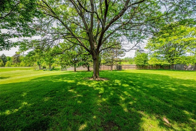 11 Brightwoods Ln, Brighton, NY 14623 - view of yard