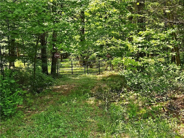 0 S Bonaparte Rd, Diana, NY 13648 - photo 1